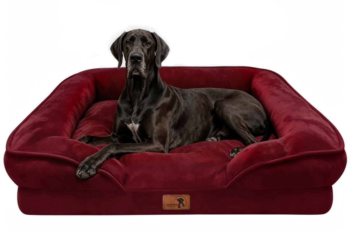 Spotted Play Orthopedic Dog Bed with Sides - Dog Sofa Beds for Medium Dogs, Supportive Foam Pet Couch Bed with Washable Removable Cover, Waterproof Lining and Non-Slip Bottom, Grey - M