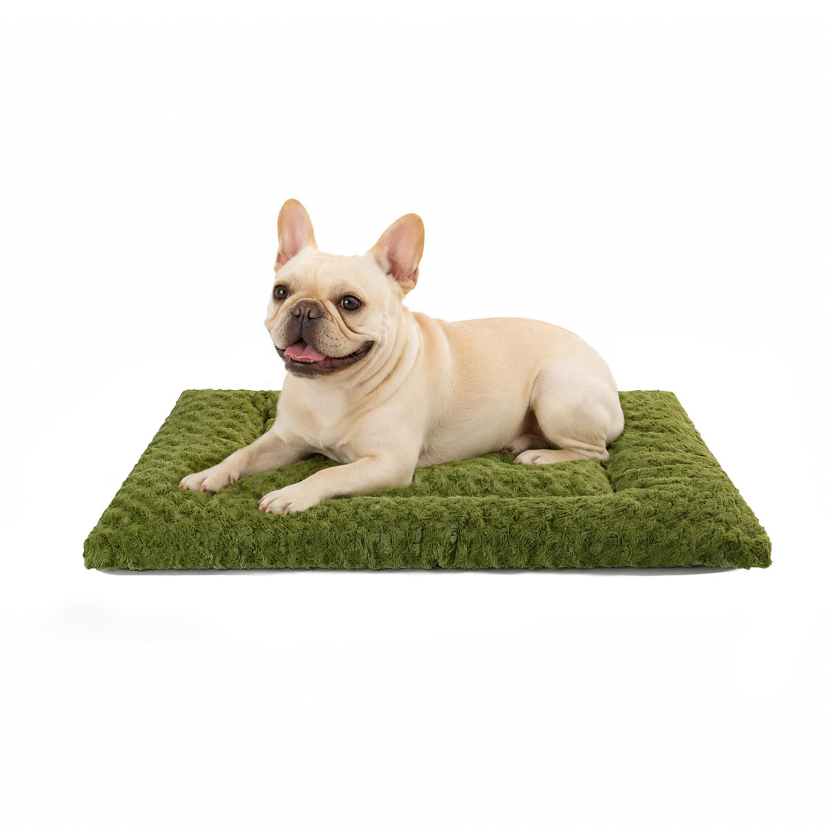 Exsnugy Washable Dog Bed Mat Medium Size Fluffy Pet Crate Pad 36x23
