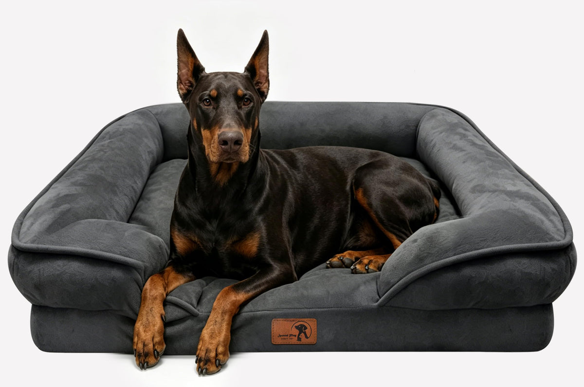 Spotted Play Orthopedic Dog Bed with Sides - Dog Sofa Beds for Medium Dogs, Supportive Foam Pet Couch Bed with Washable Removable Cover, Waterproof Lining and Non-Slip Bottom, Grey - M