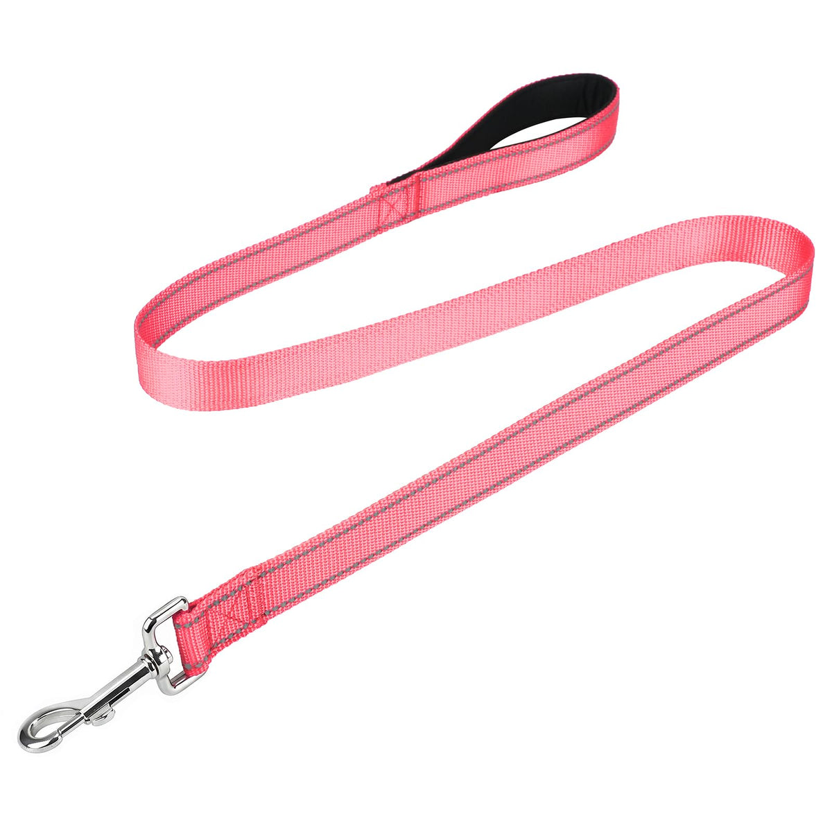 FunTags Reflective Nylon Dog Leash for Medium & Large Dogs, 6FT for Walks
