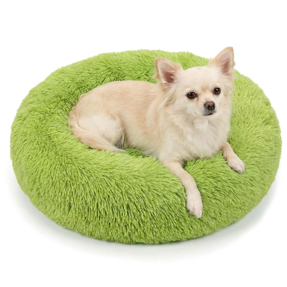 Small Calming Dogs Bed for Small Dogs Anti-Anxiety Machine Washable Fluffy Luxury Anti-Slip Waterproof Mute Base Warming Cozy Soft Pet Puppy Round Bed