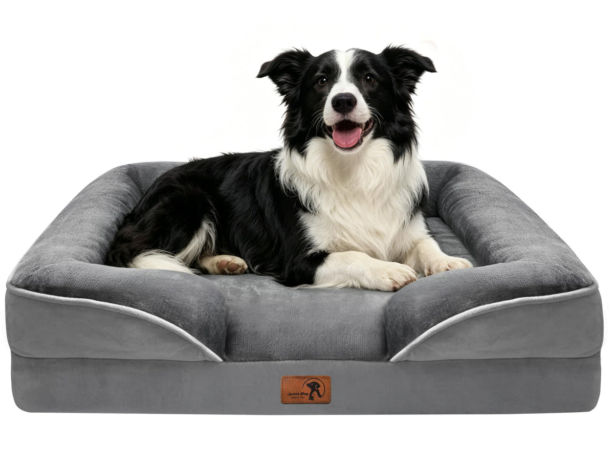 Spotted Play Orthopedic Dog Bed with Sides - Dog Sofa Beds for Medium Dogs, Supportive Foam Pet Couch Bed with Washable Removable Cover, Waterproof Lining and Non-Slip Bottom, Grey - M