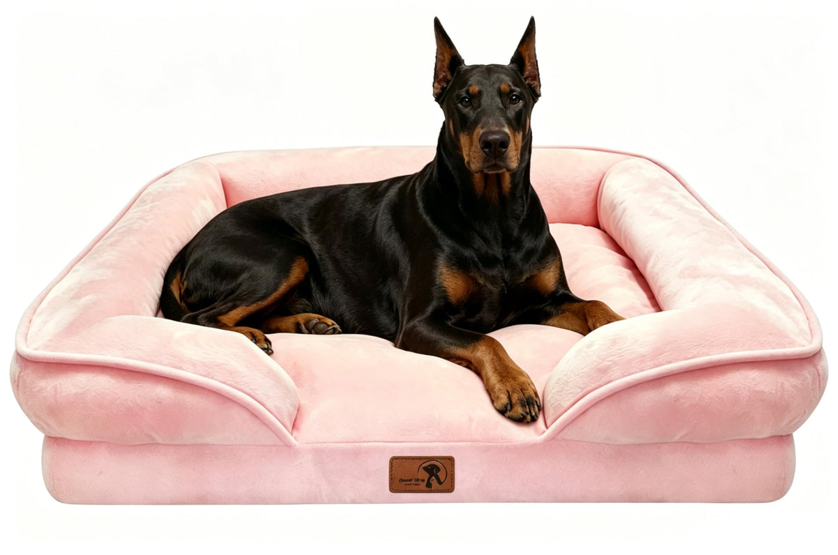 Spotted Play Orthopedic Dog Bed with Sides - Dog Sofa Beds for Medium Dogs, Supportive Foam Pet Couch Bed with Washable Removable Cover, Waterproof Lining and Non-Slip Bottom, Grey - M