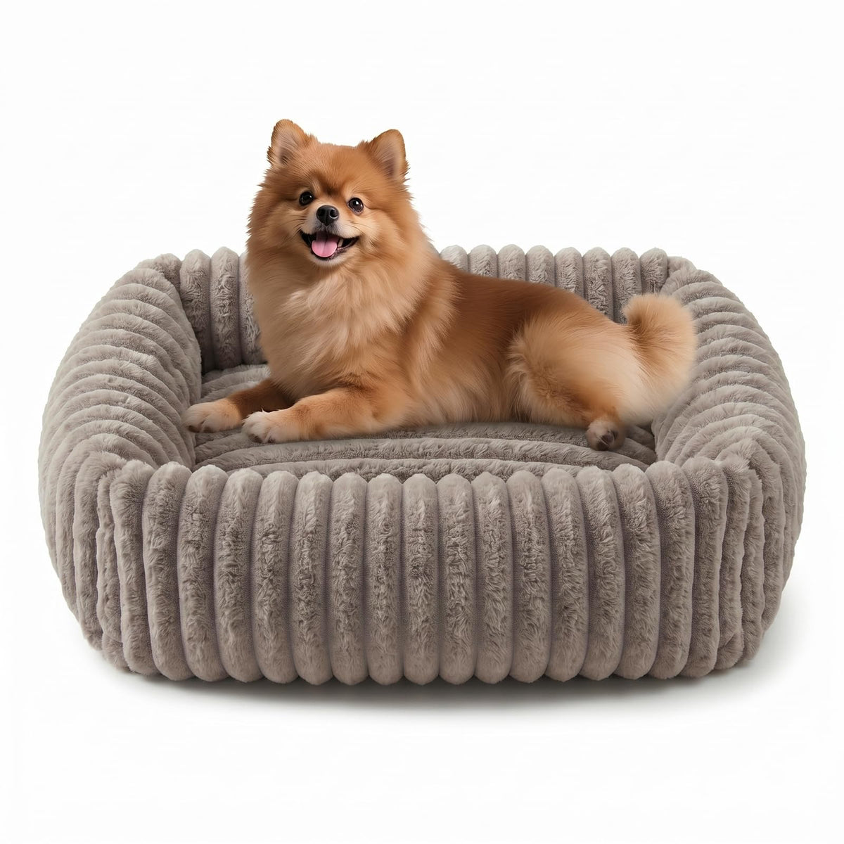 FURTIME Washable Dog Bed for Small Dogs, Cat Beds for Indoor Cats, 20"