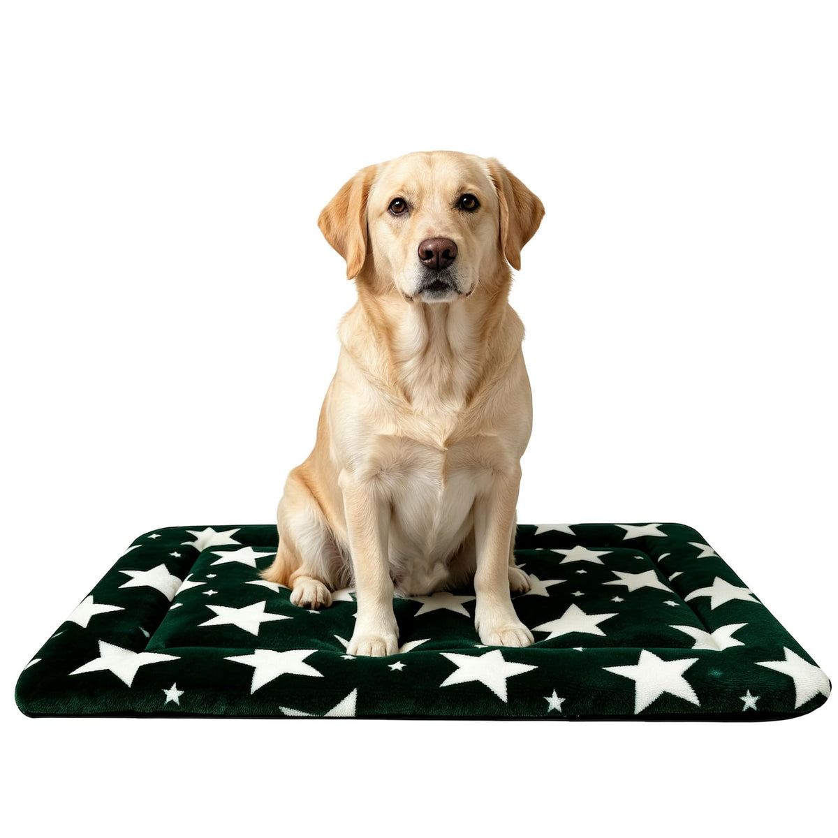 Dog Bed Mat,Reversible & Ultra Soft Kennel Pad-Machine Washable Pet Bed for Dogs & Cats-All-Weather Crate Liner for Crates,Carriers & Travel (Pink, 35" L x 23" W x 1.5" Th)