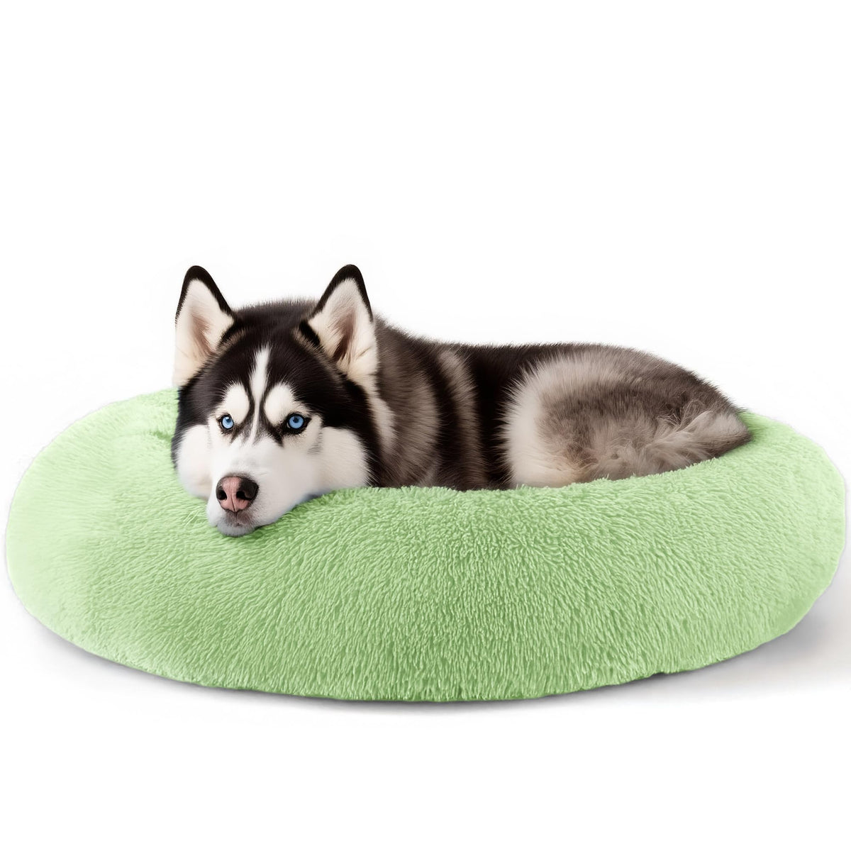 Hoewina Dog & Cat Bed for Indoor Cats, 20in Calming Donut Bed (Light Grey)