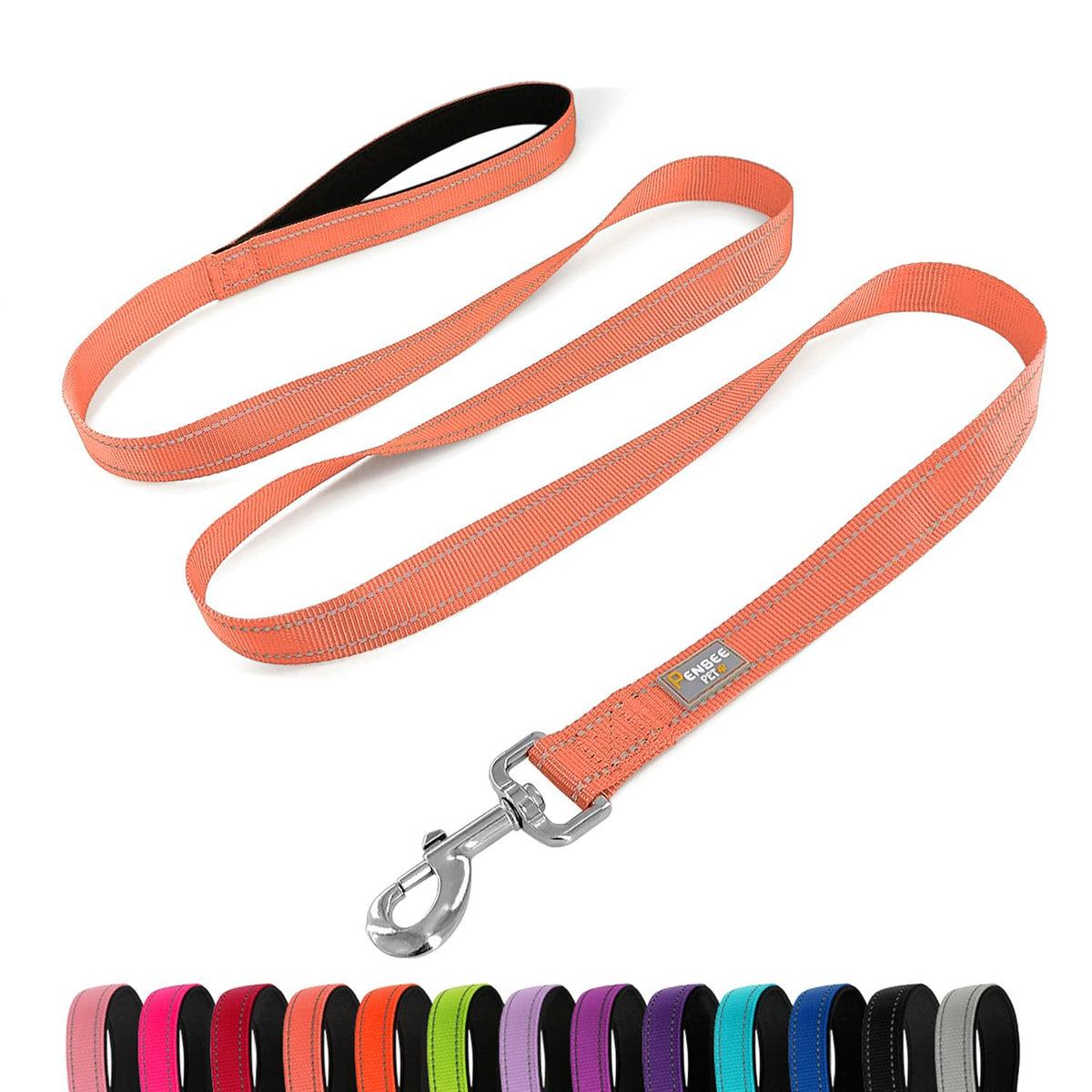 6 FT Basic Dog Leash for Medium Dogs,Black
