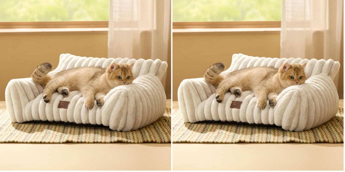 Bedsure ComfyFleece® Shown on TV Fluffy Cute Cat Couch for Pets,24in Cream
