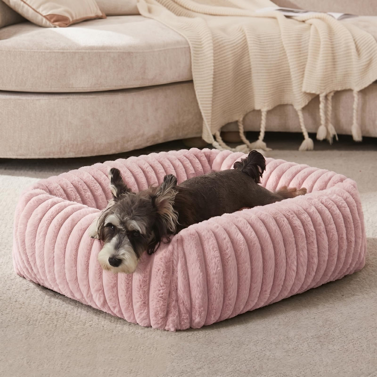 FURTIME Washable Dog Bed for Small Dogs, Cat Beds for Indoor Cats, 20"