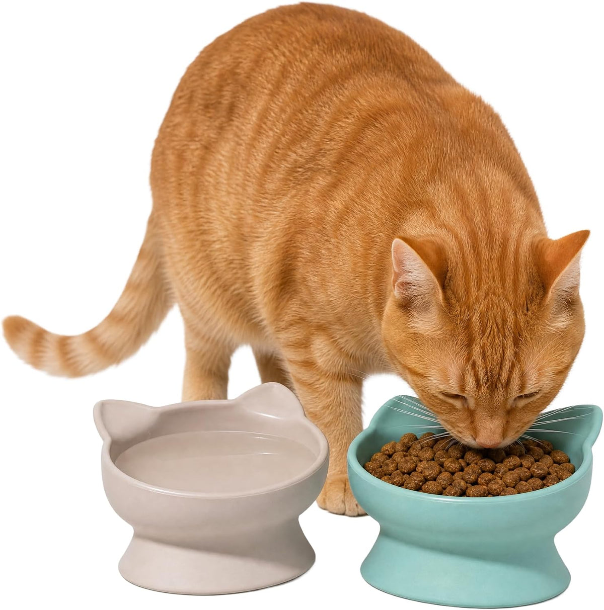 Kitty City Elevated Cat Bowls (Set of 2), Whisker-Friendly Raised Cat Food & Water Dishes, Modern Pedestal Design, Dishwasher Safe, 6.5 oz Each – Pink & Teal