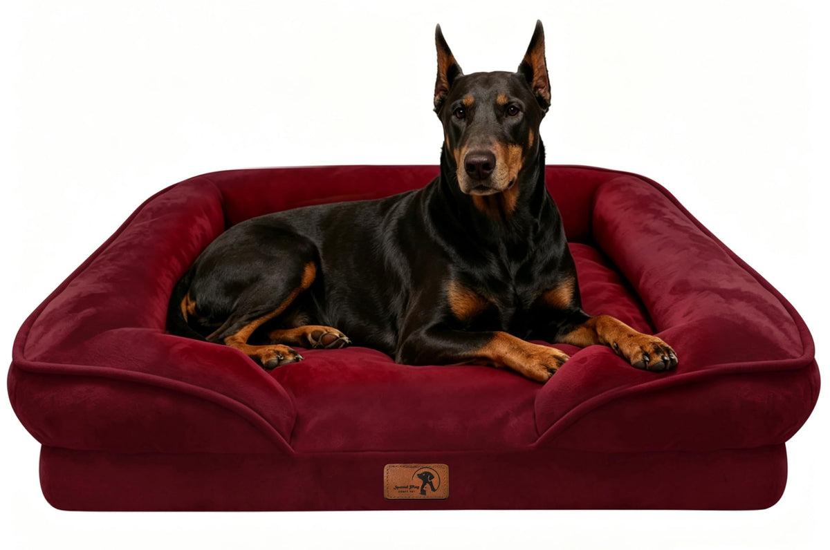 Spotted Play Orthopedic Dog Bed with Sides - Dog Sofa Beds for Medium Dogs, Supportive Foam Pet Couch Bed with Washable Removable Cover, Waterproof Lining and Non-Slip Bottom, Grey - M