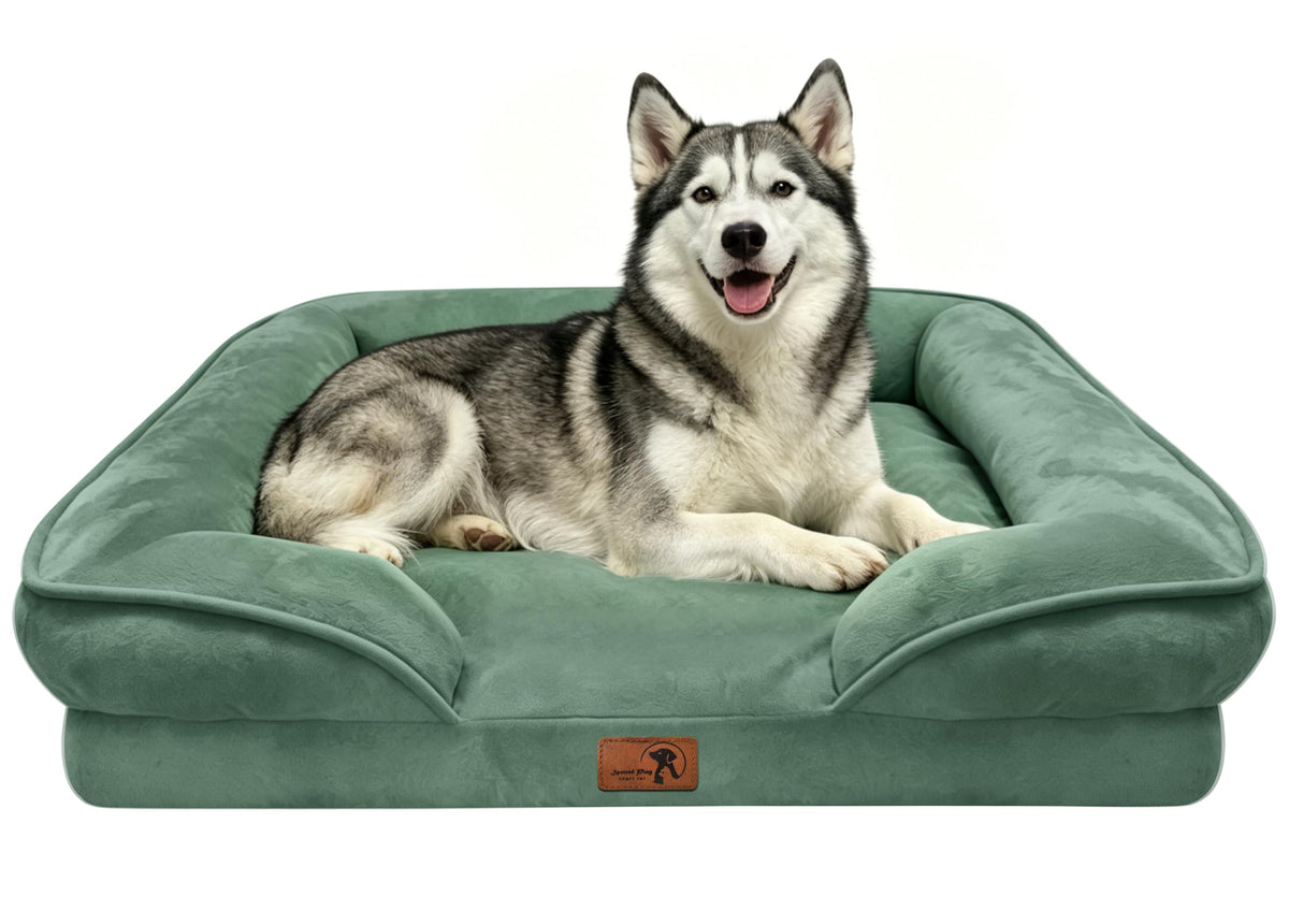 Spotted Play Orthopedic Dog Bed with Sides - Dog Sofa Beds for Medium Dogs, Supportive Foam Pet Couch Bed with Washable Removable Cover, Waterproof Lining and Non-Slip Bottom, Grey - M