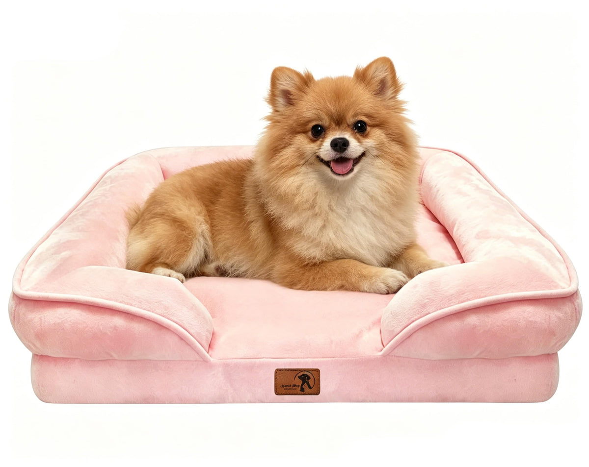 Spotted Play Orthopedic Dog Bed with Sides - Dog Sofa Beds for Medium Dogs, Supportive Foam Pet Couch Bed with Washable Removable Cover, Waterproof Lining and Non-Slip Bottom, Grey - M