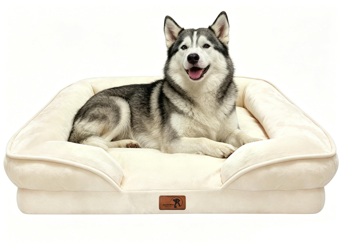 Spotted Play Orthopedic Dog Bed with Sides - Dog Sofa Beds for Medium Dogs, Supportive Foam Pet Couch Bed with Washable Removable Cover, Waterproof Lining and Non-Slip Bottom, Grey - M