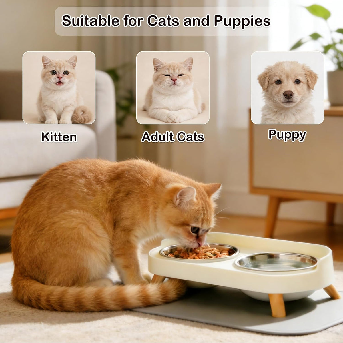 Elevated Cat Bowls with Food Mat, Splash Proof Anti Vomiting Raised Cat Food and Water Bowl Set, 2 Stainless Steel Dishes for Cats and Puppy, Pet Bowl for Indoor Cats White