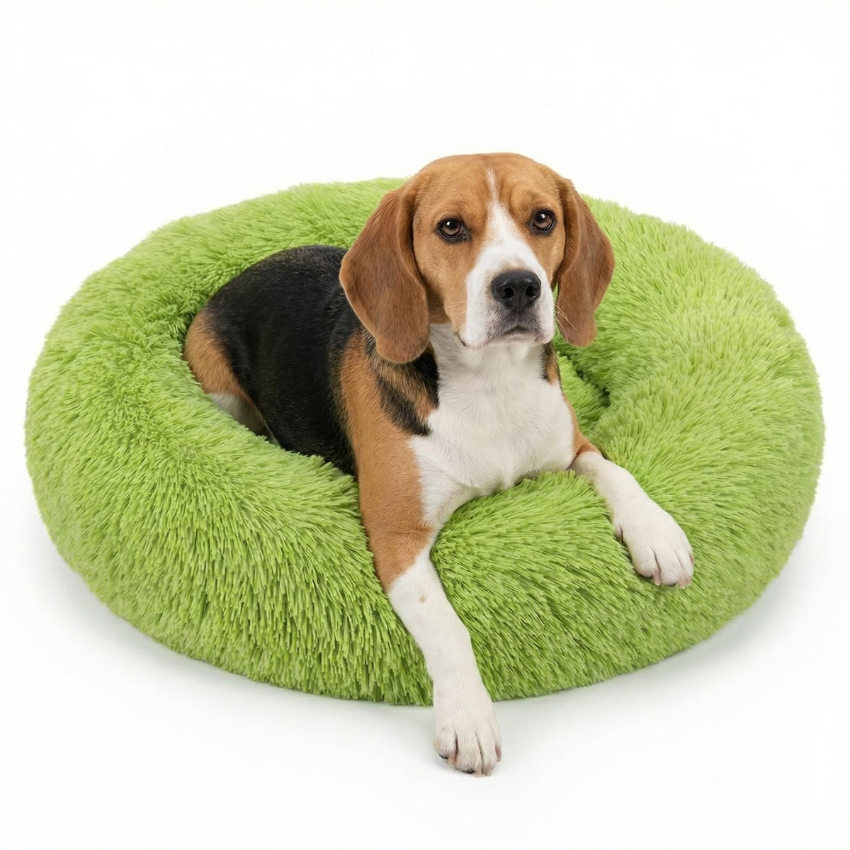 Small Calming Dogs Bed for Small Dogs Anti-Anxiety Machine Washable Fluffy Luxury Anti-Slip Waterproof Mute Base Warming Cozy Soft Pet Puppy Round Bed
