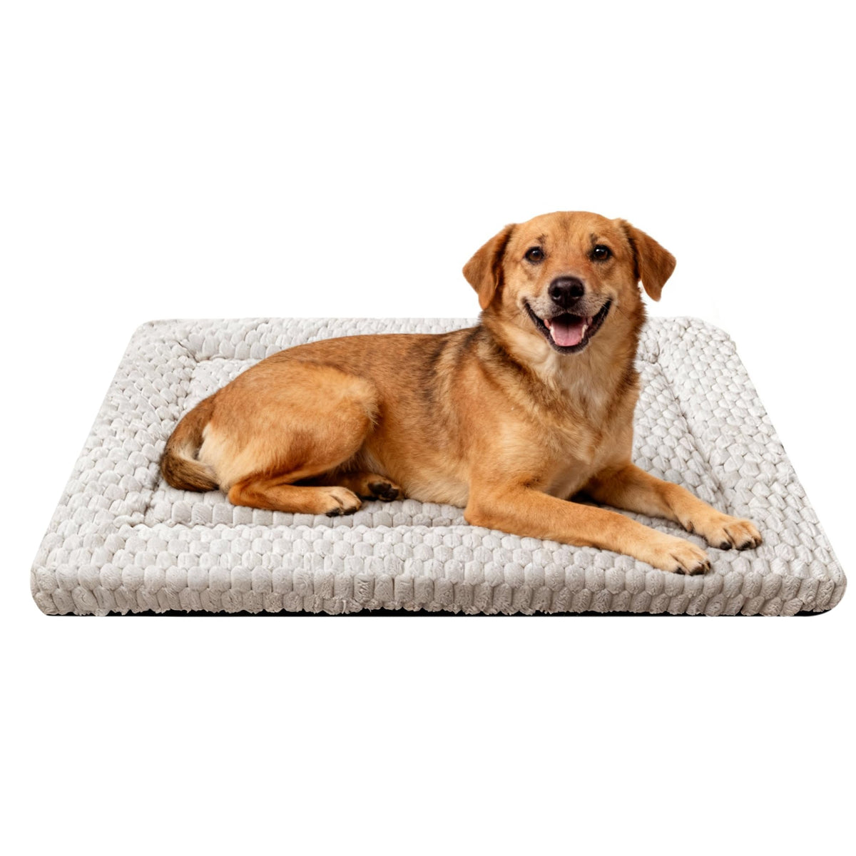 Dog Bed Mat,Reversible & Ultra Soft Kennel Pad-Machine Washable Pet Bed for Dogs & Cats-All-Weather Crate Liner for Crates,Carriers & Travel (Pink, 35" L x 23" W x 1.5" Th)