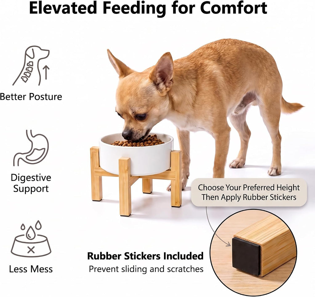 Cat Water Bowl - Elevated Cat Bowls | Ceramic Raised Cat Bowl with Adjustable Bamboo Stand | Anti Vomiting Cat Food Bowl for Indoor Cats, Kittens & Small Dogs | Dishwasher Safe | 5.1" Cat Dish| White