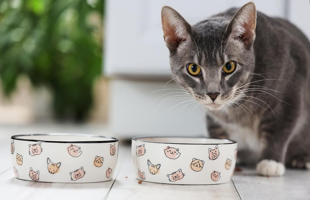 Pearhead Ceramic Cat Bowl, Holds 12 oz, Cute Cat Face Design