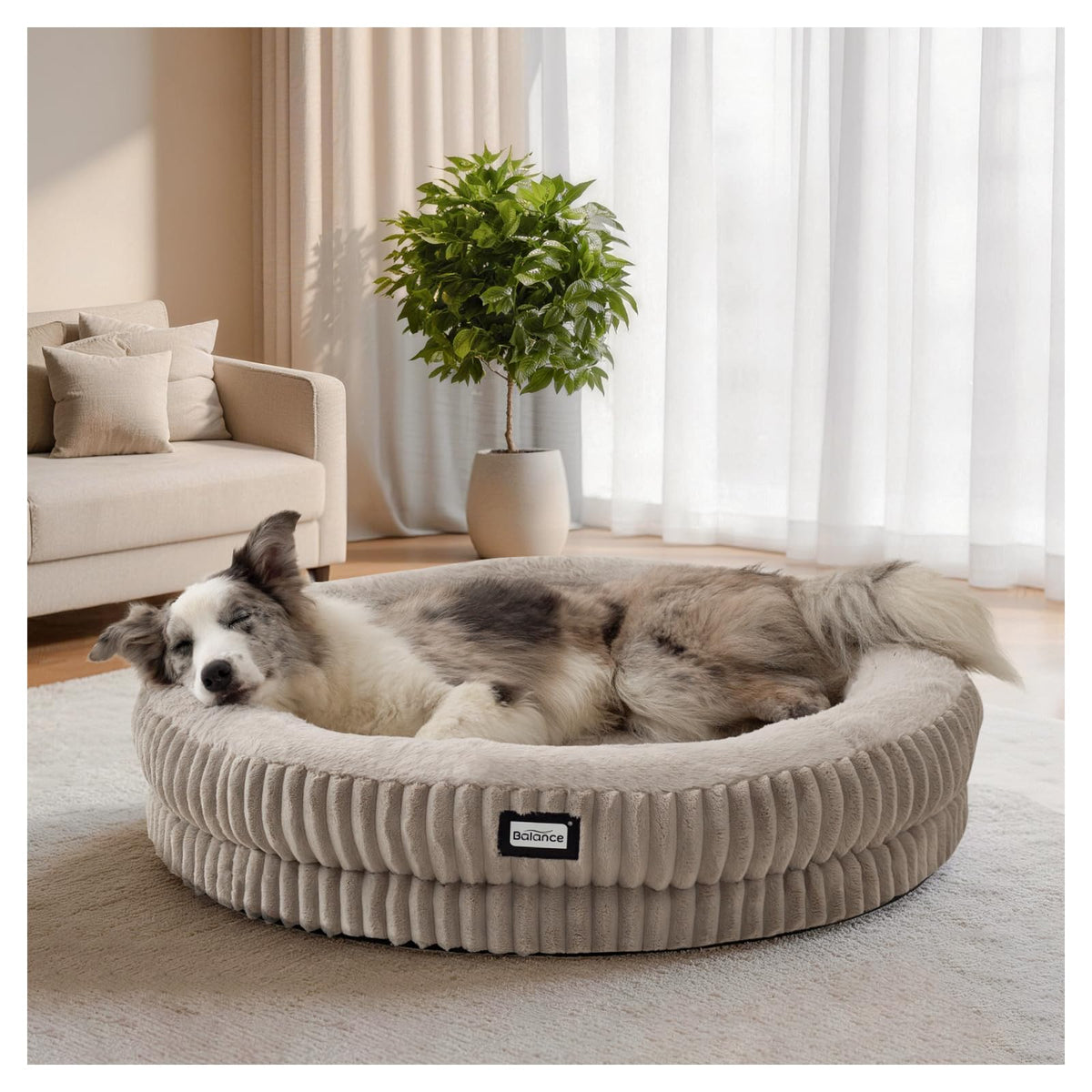 BALANCE Cat Bed Kitten Bed, Washable Round Cat Beds for Indoor Cats, Super Soft Plush Faux Fur Pet Bed for Puppy and Kitten with Anti-Slip Bottom
