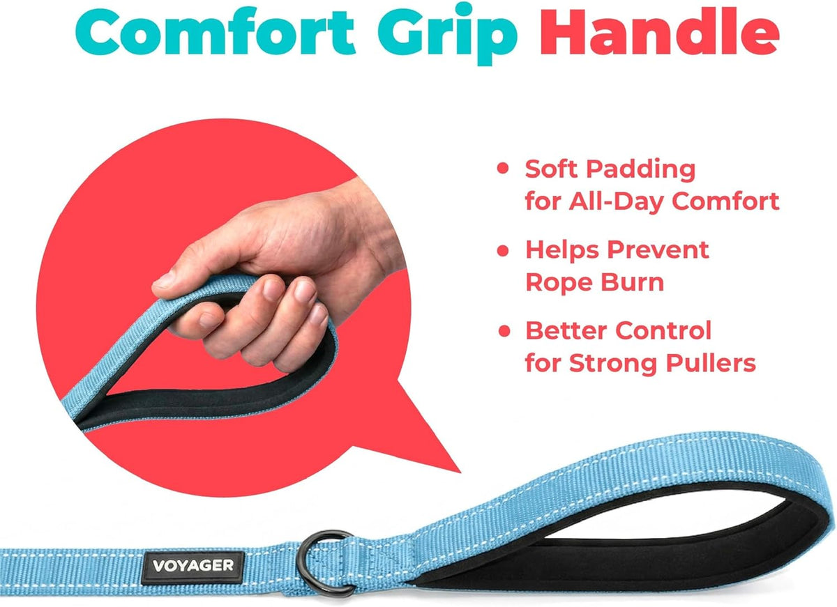 Best Pet Supplies Voyager Nylon Dog Leash - Baby Blue, Small