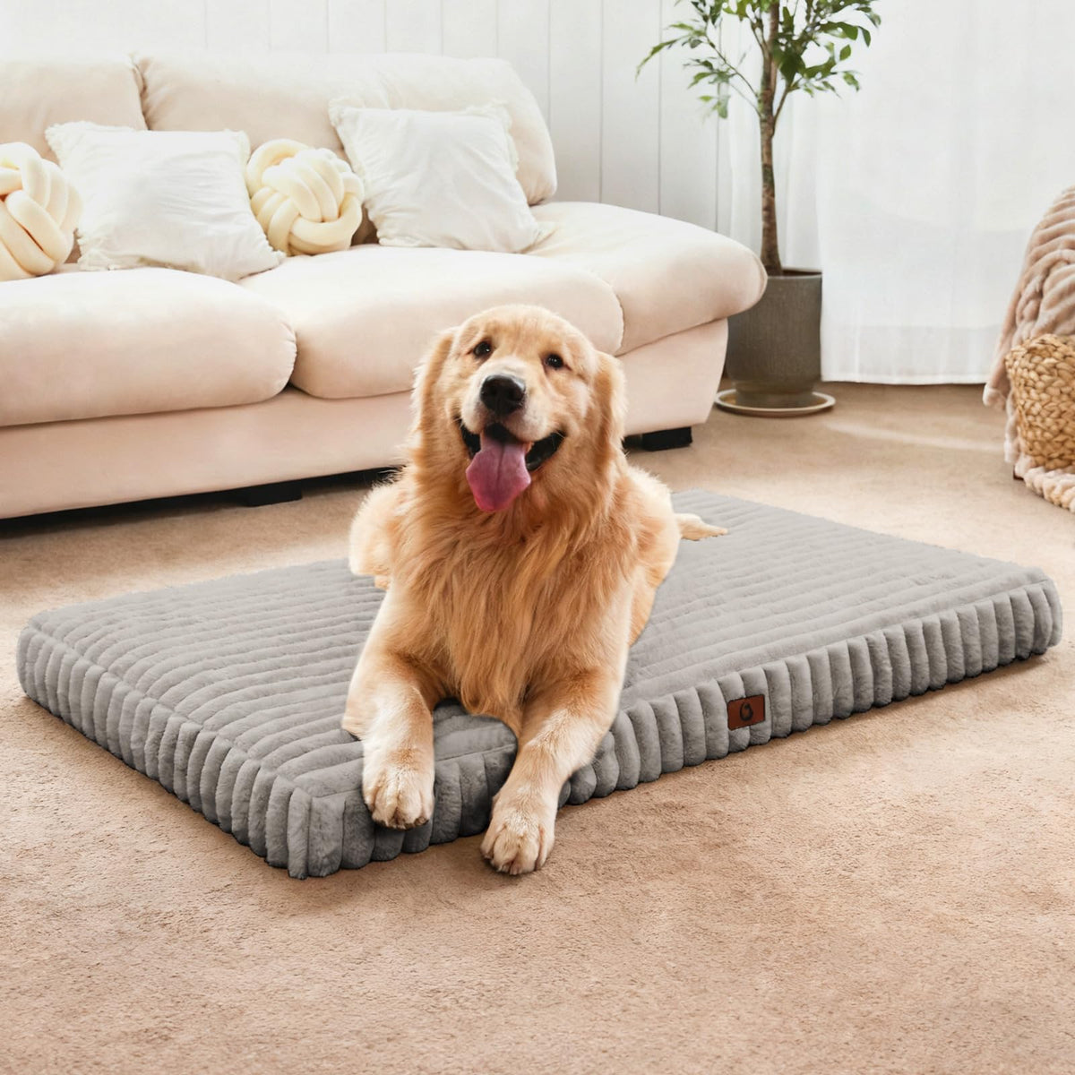 Dog Beds for Large Sized Dog, Orthopedic Foam with Waterproof Lining
