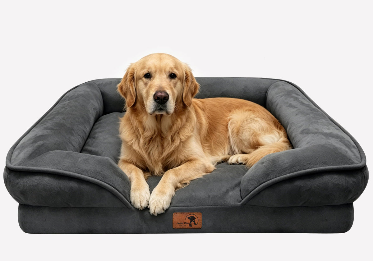 Spotted Play Orthopedic Dog Bed with Sides - Dog Sofa Beds for Medium Dogs, Supportive Foam Pet Couch Bed with Washable Removable Cover, Waterproof Lining and Non-Slip Bottom, Grey - M