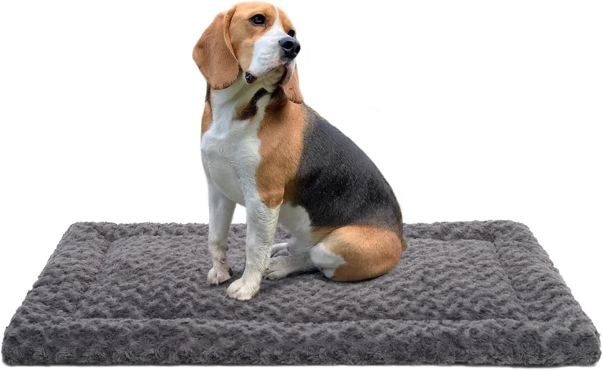 Exsnugy Washable Dog Bed Mat Medium Size Fluffy Pet Crate Pad 36x23