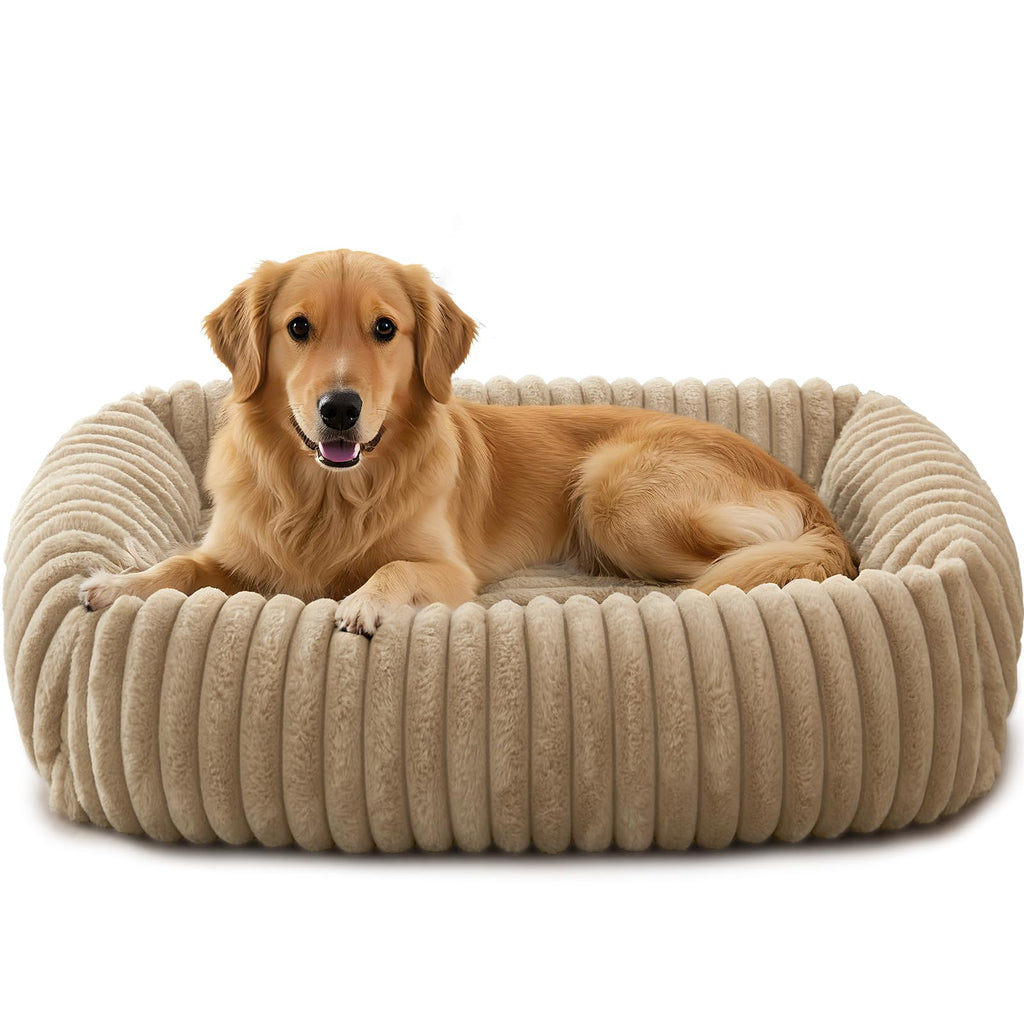 FURTIME Washable Dog Bed for Small Dogs, Cat Beds for Indoor Cats, 20"