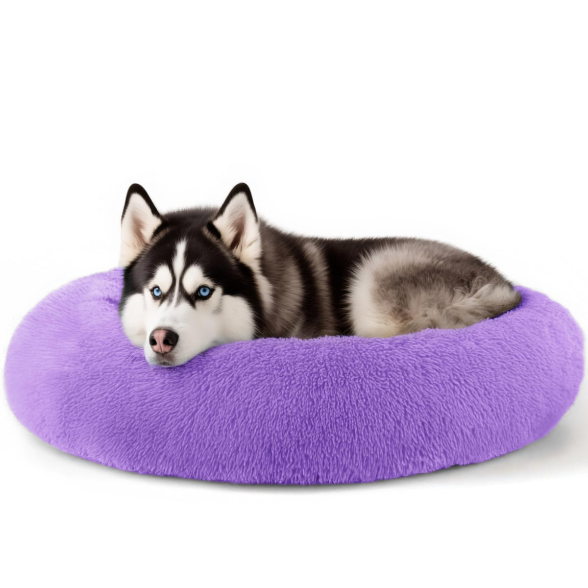 Hoewina Dog & Cat Bed for Indoor Cats, 20in Calming Donut Bed (Light Grey)