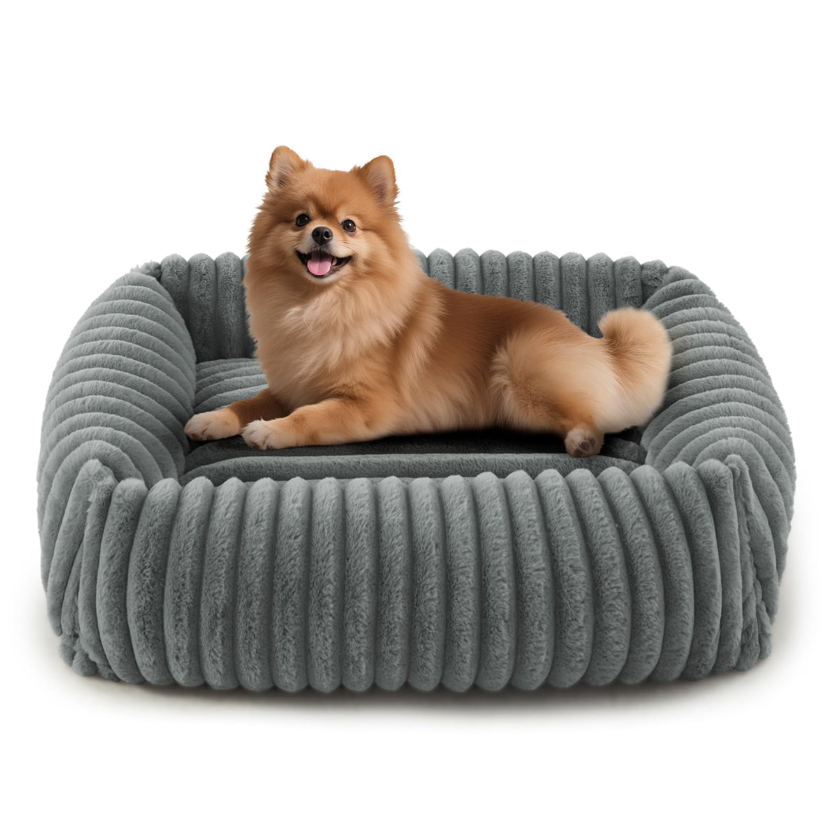 FURTIME Washable Dog Bed for Small Dogs, Cat Beds for Indoor Cats, 20"