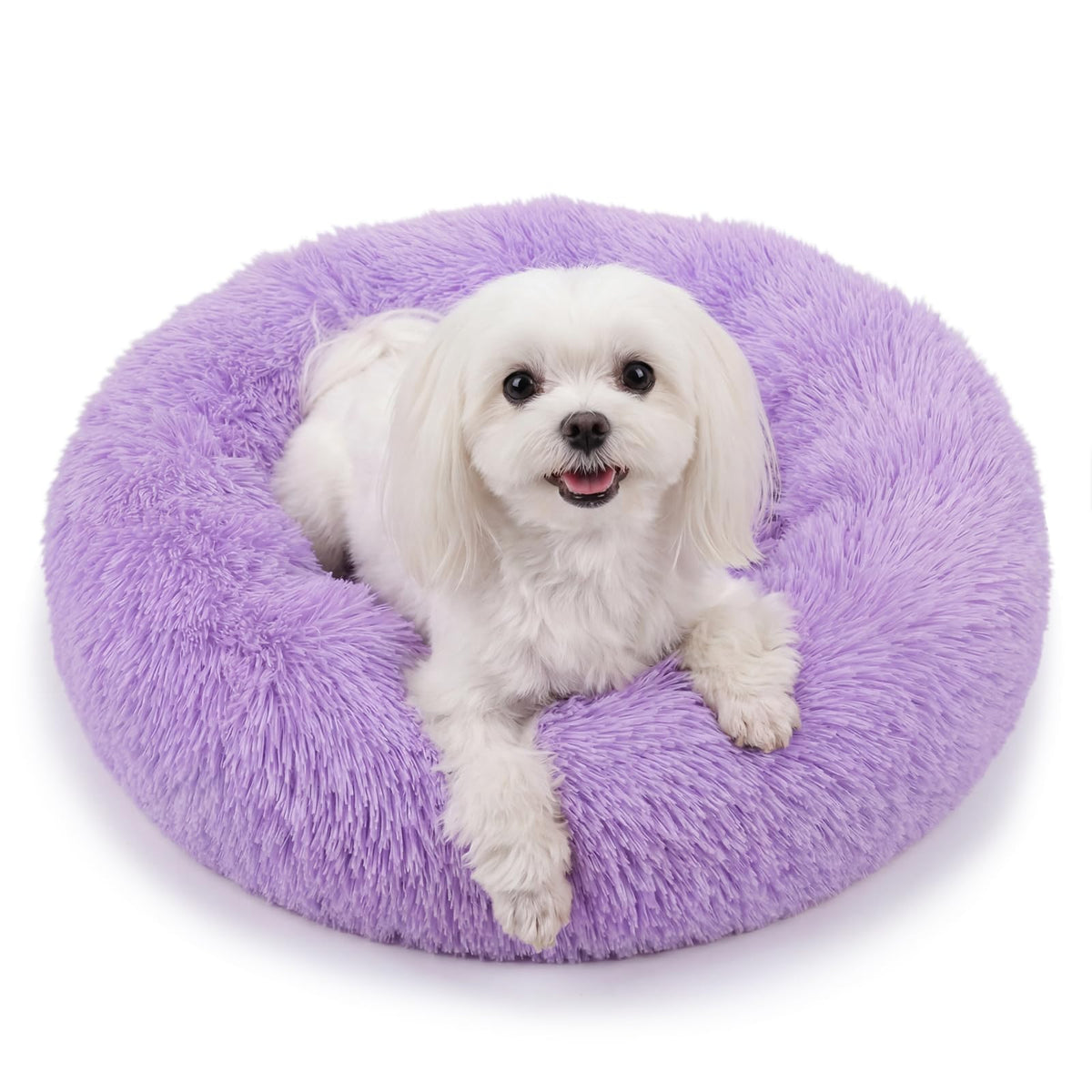 Small Calming Dogs Bed for Small Dogs Anti-Anxiety Machine Washable Fluffy Luxury Anti-Slip Waterproof Mute Base Warming Cozy Soft Pet Puppy Round Bed