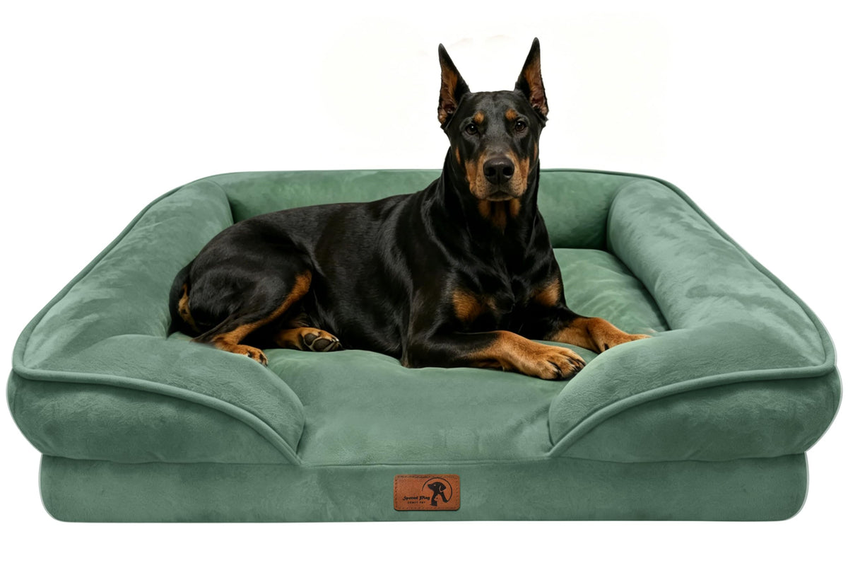 Spotted Play Orthopedic Dog Bed with Sides - Dog Sofa Beds for Medium Dogs, Supportive Foam Pet Couch Bed with Washable Removable Cover, Waterproof Lining and Non-Slip Bottom, Grey - M