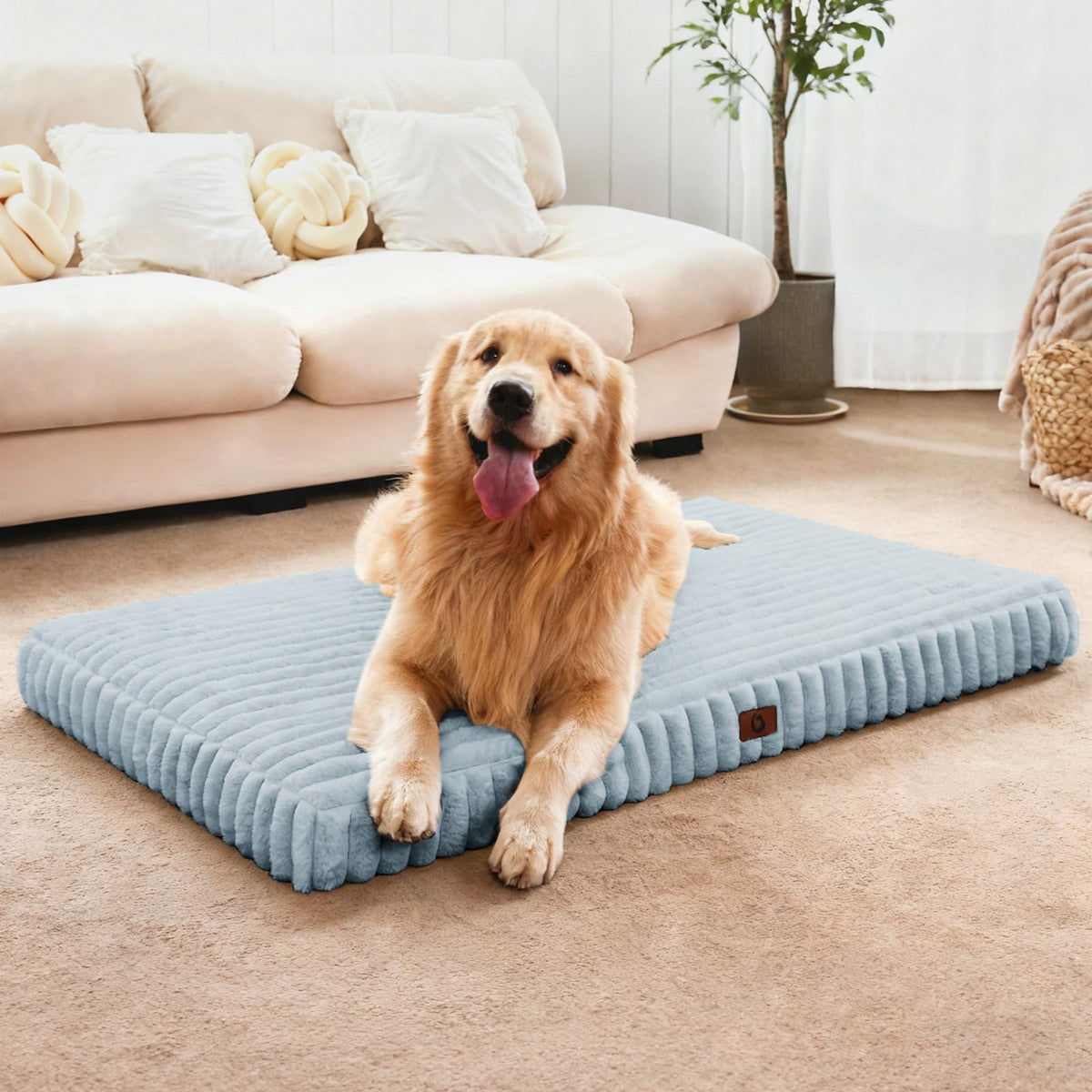 Dog Beds for Large Sized Dog, Orthopedic Foam with Waterproof Lining