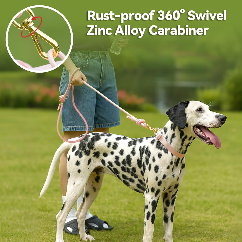 Sunraymascota 5FT Dog Leash Puppy Cat Rope Lead for Small Medium Large Dogs