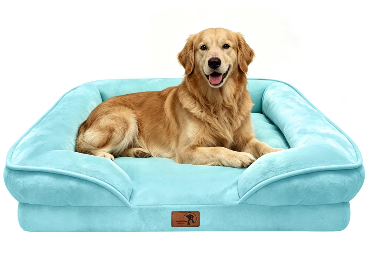 Spotted Play Orthopedic Dog Bed with Sides - Dog Sofa Beds for Medium Dogs, Supportive Foam Pet Couch Bed with Washable Removable Cover, Waterproof Lining and Non-Slip Bottom, Grey - M