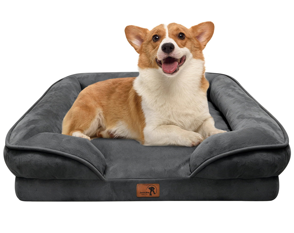 Spotted Play Orthopedic Dog Bed with Sides - Dog Sofa Beds for Medium Dogs, Supportive Foam Pet Couch Bed with Washable Removable Cover, Waterproof Lining and Non-Slip Bottom, Grey - M