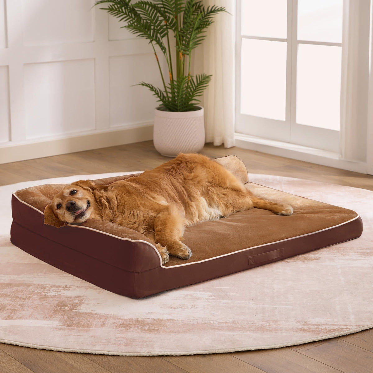 XL Orthopedic Dog Bed for Large Sized Dogs, 42"x30"x7.5", Grey