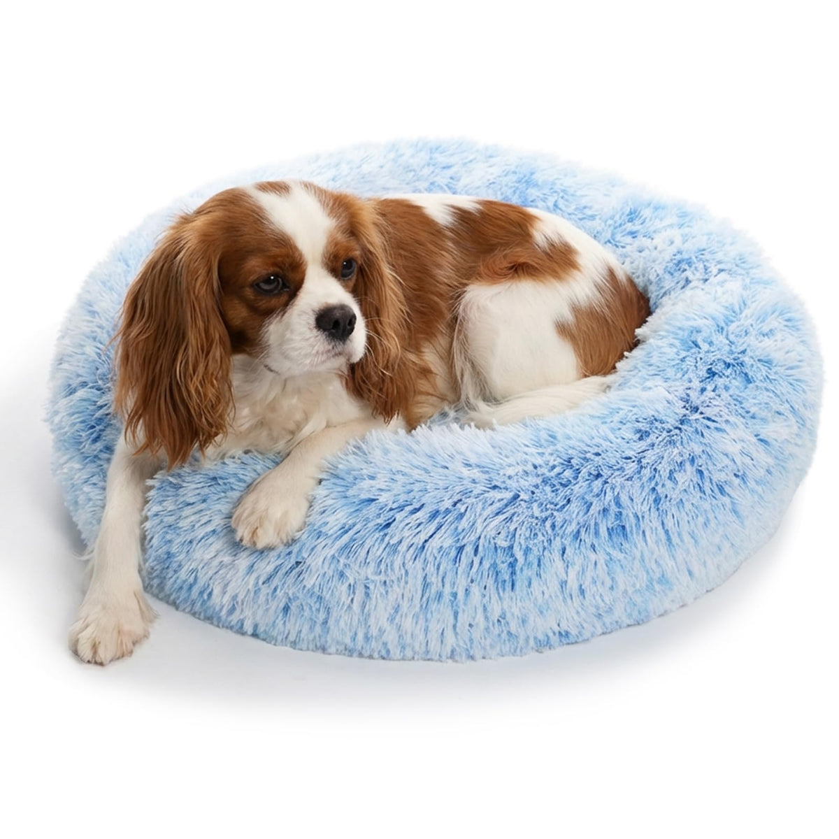 Small Calming Dogs Bed for Small Dogs Anti-Anxiety Machine Washable Fluffy Luxury Anti-Slip Waterproof Mute Base Warming Cozy Soft Pet Puppy Round Bed