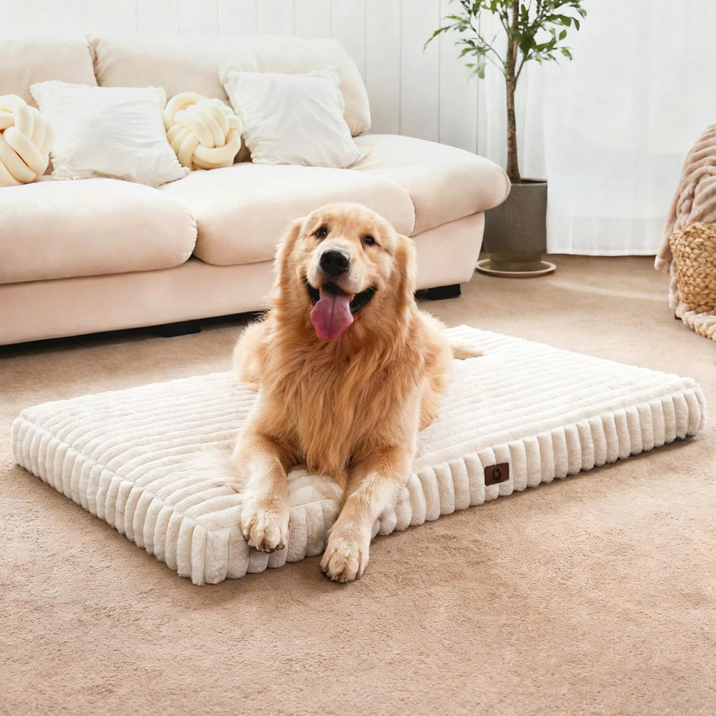 Dog Beds for Large Sized Dog, Orthopedic Foam with Waterproof Lining