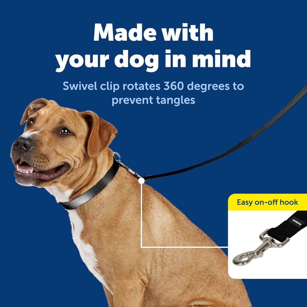 PetSafe Nylon Dog Leash - Strong, Durable, Traditional Style Leash with Easy to Use Bolt Snap - 3/8 in. x 6 ft., Black