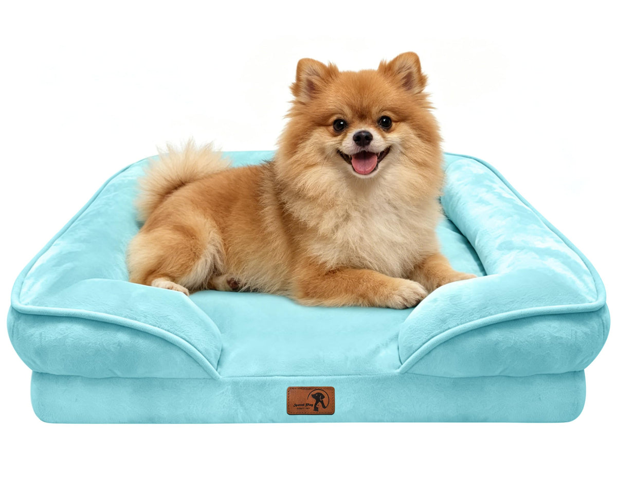 Spotted Play Orthopedic Dog Bed with Sides - Dog Sofa Beds for Medium Dogs, Supportive Foam Pet Couch Bed with Washable Removable Cover, Waterproof Lining and Non-Slip Bottom, Grey - M