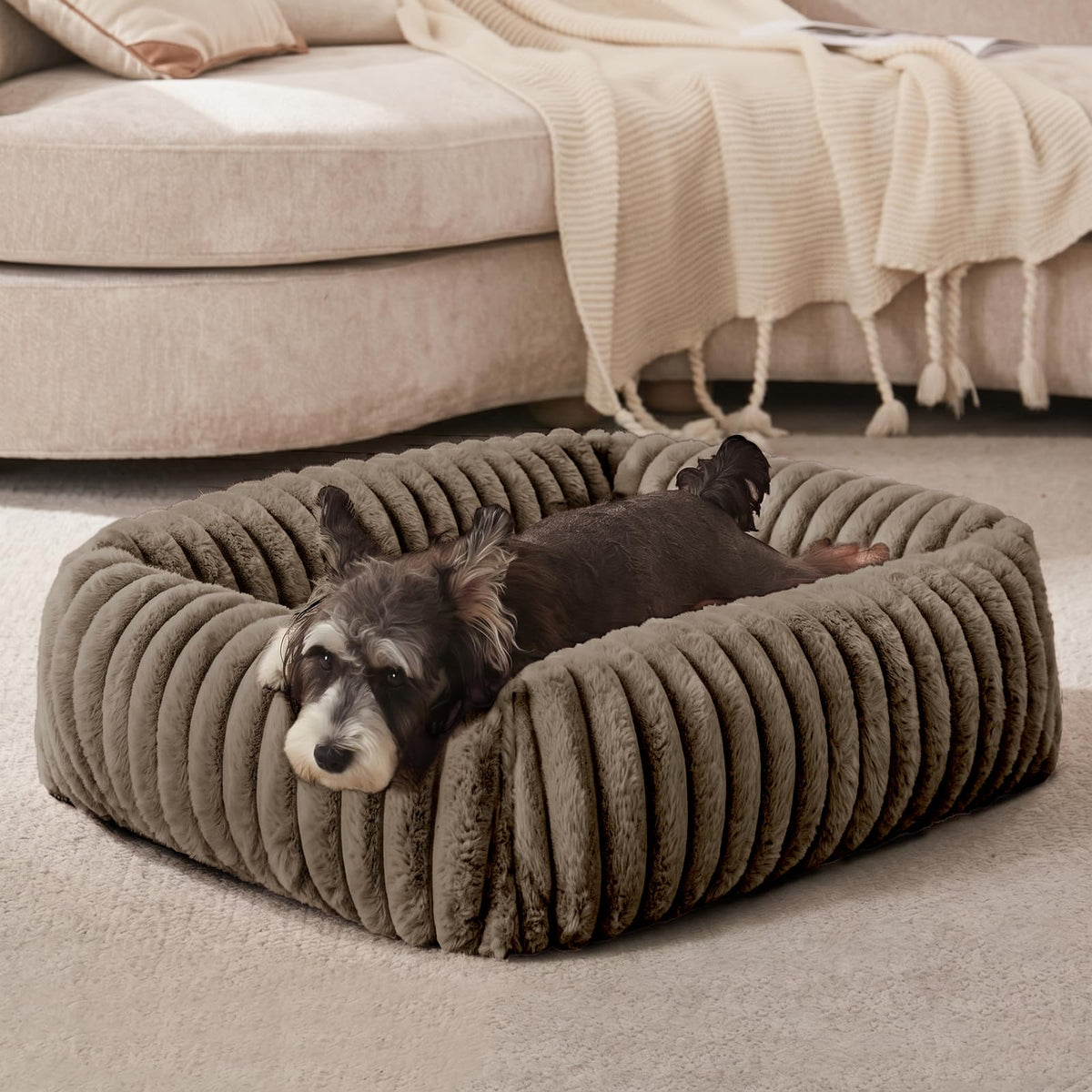 FURTIME Washable Dog Bed for Small Dogs, Cat Beds for Indoor Cats, 20"