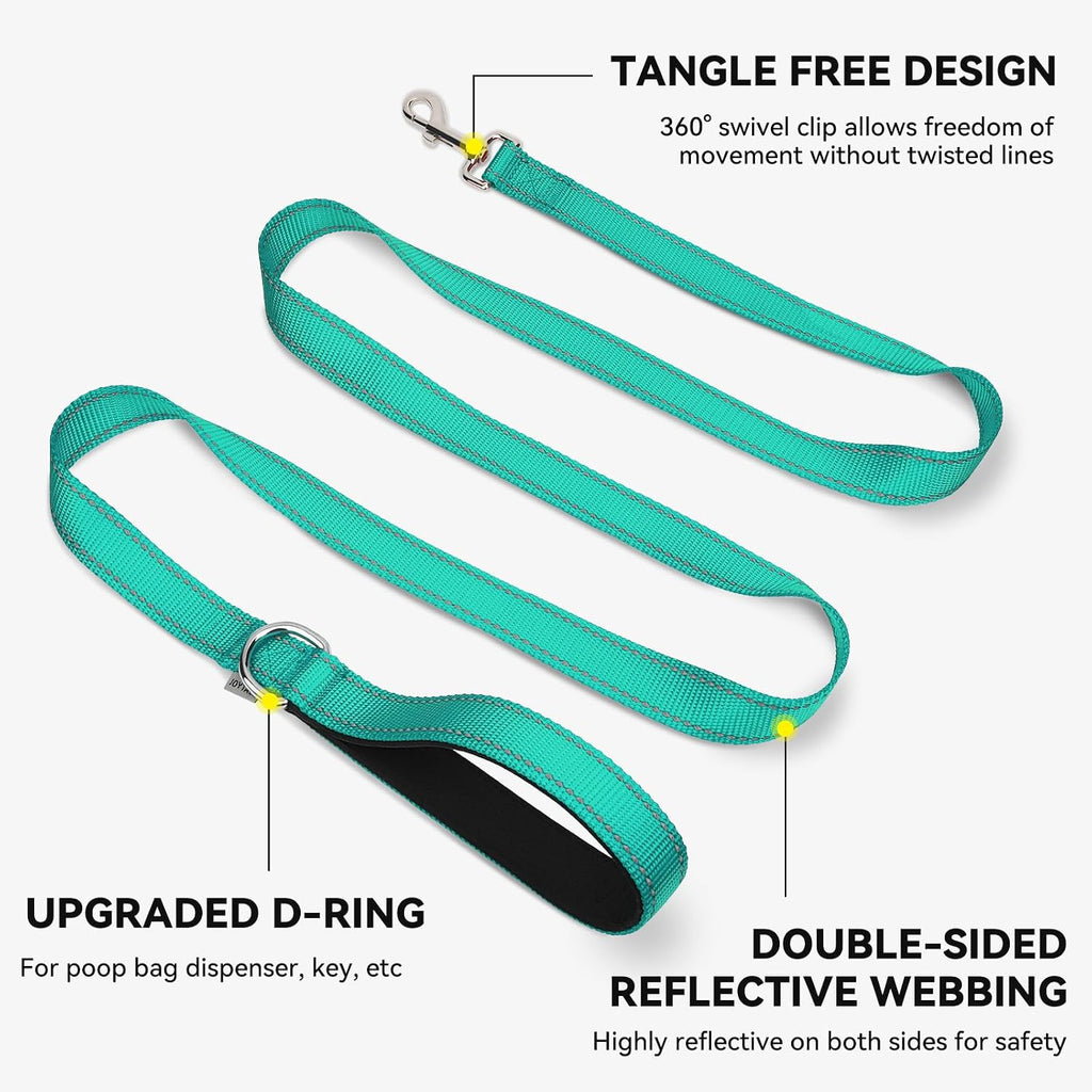 Joytale Reflective Dog Leash for Medium & Large Dogs, 6 FT x 1", Turquoise
