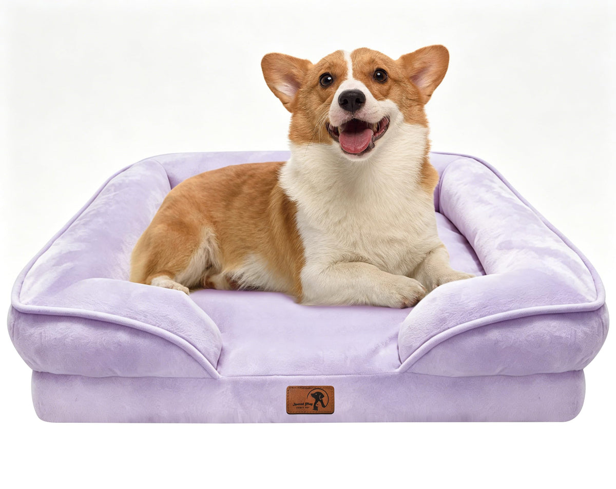 Spotted Play Orthopedic Dog Bed with Sides - Dog Sofa Beds for Medium Dogs, Supportive Foam Pet Couch Bed with Washable Removable Cover, Waterproof Lining and Non-Slip Bottom, Grey - M