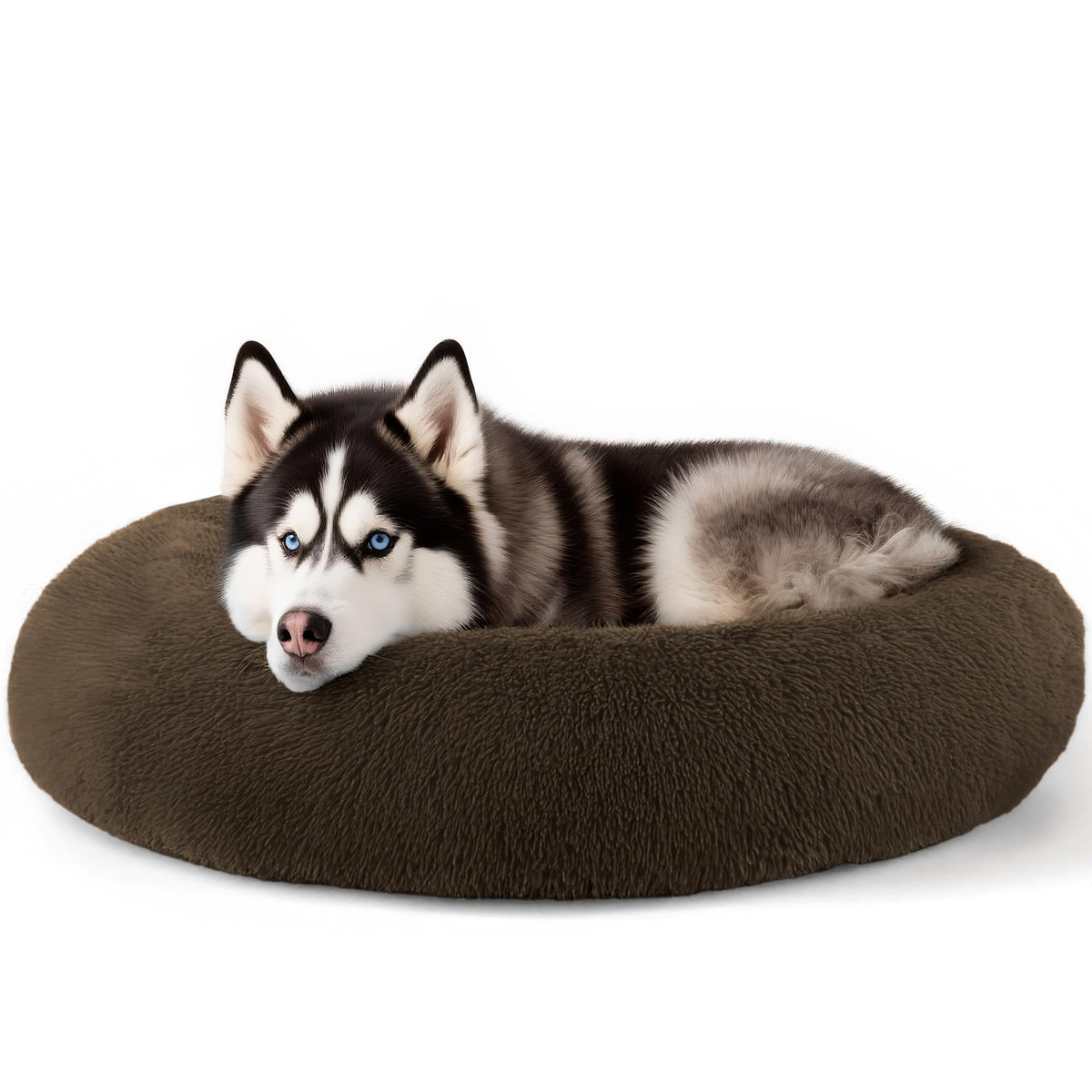 Hoewina Dog & Cat Bed for Indoor Cats, 20in Calming Donut Bed (Light Grey)