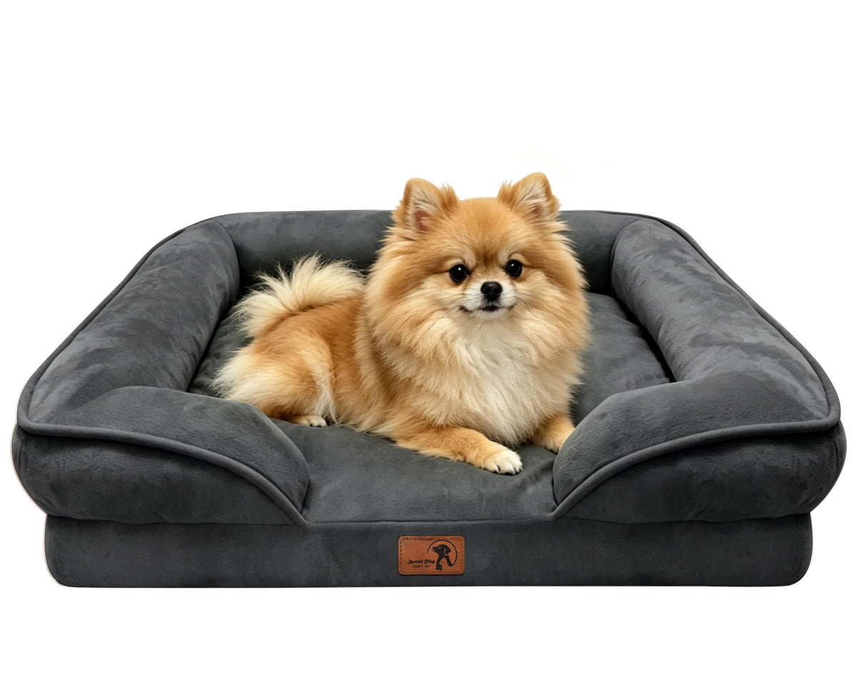 Spotted Play Orthopedic Dog Bed with Sides - Dog Sofa Beds for Medium Dogs, Supportive Foam Pet Couch Bed with Washable Removable Cover, Waterproof Lining and Non-Slip Bottom, Grey - M