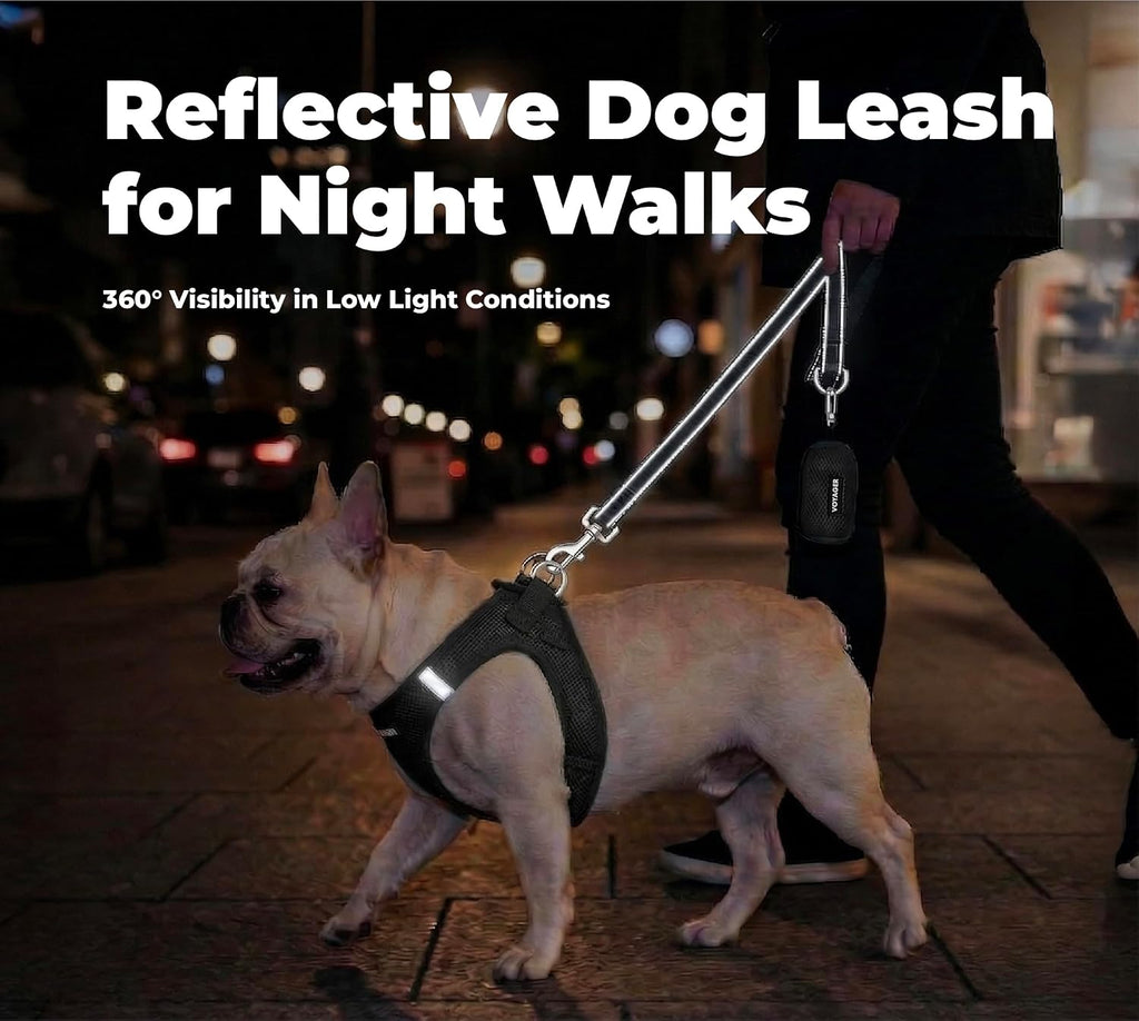 Best Pet Supplies Voyager Nylon Dog Leash - Black, Small