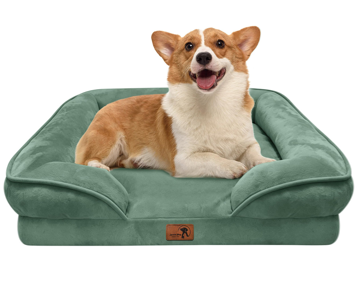 Spotted Play Orthopedic Dog Bed with Sides - Dog Sofa Beds for Medium Dogs, Supportive Foam Pet Couch Bed with Washable Removable Cover, Waterproof Lining and Non-Slip Bottom, Grey - M