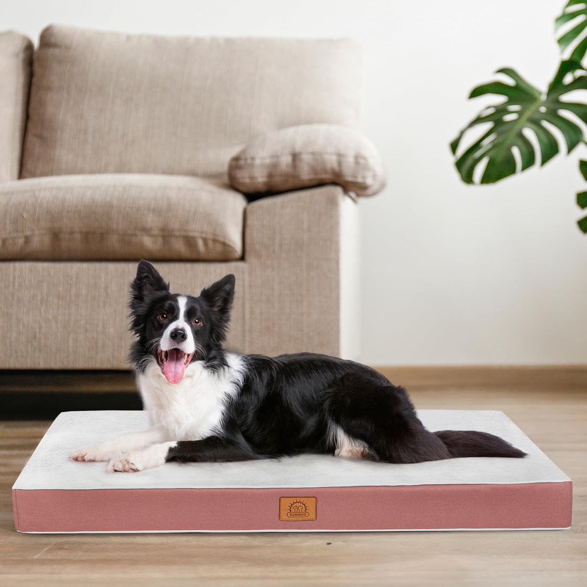 Sunheir Washable Orthopedic Large Dog Bed with Removable Cover, Pet Bed Mat